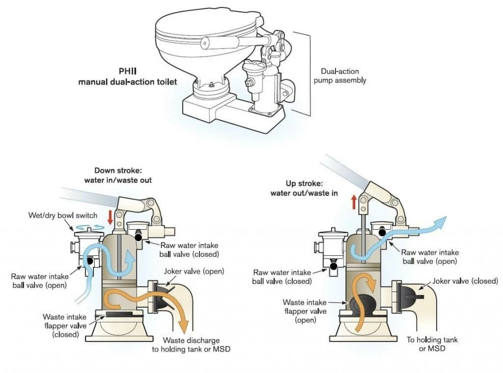 Diagram of a raw water head including joker valve and flapper valve to show where boat head odors come from